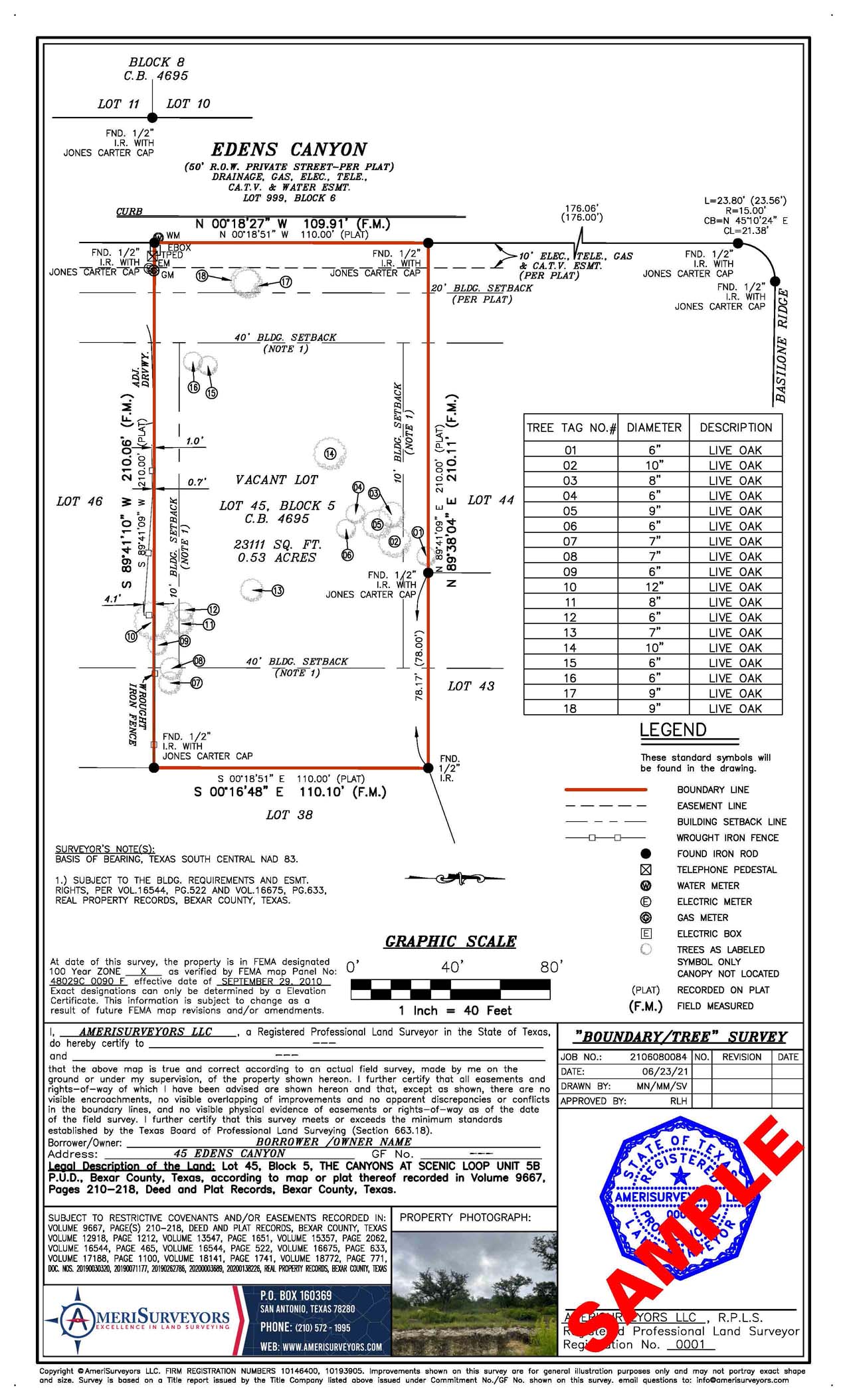 AmeriSurveyors Tree Survey Sample